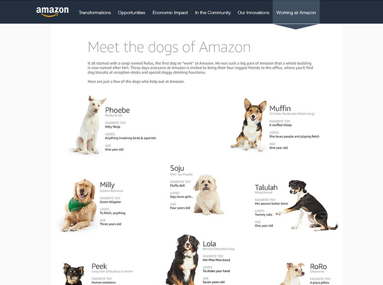 Собаки, работающие в компании Amazon