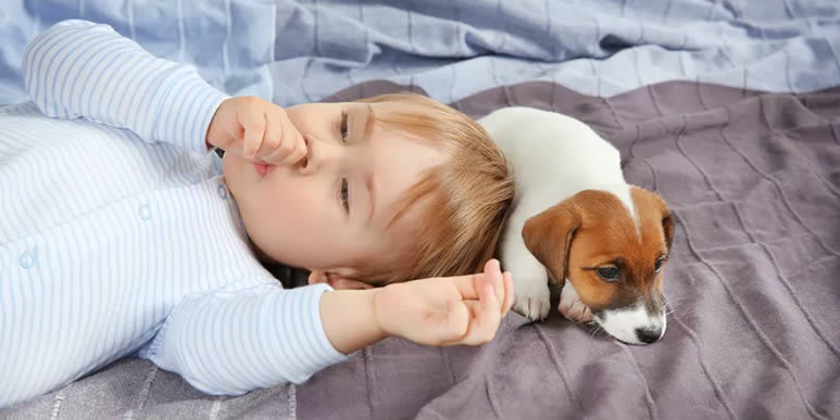 Ребенок лежит на кровати рядом с собакой