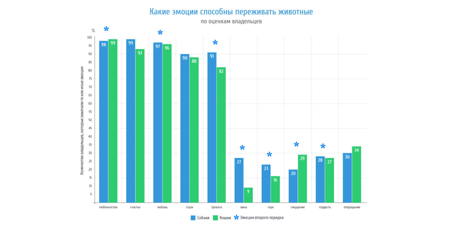 Подавляющее большинство владельцев уверены, что их собака или кошка проявляет любопытство, испытывает страх и тревогу, любит и чувствует себя счастливой.