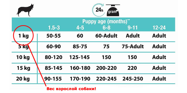 Таблица расчета количества корма для щенков