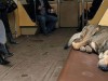 Собаки и городской общественный транспорт