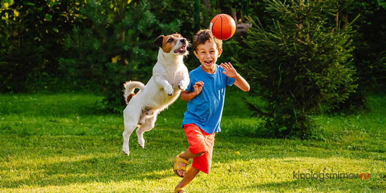 «Наша собака гоняется за играющими детьми»: пять советов владельцам