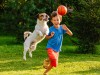 «Наша собака гоняется за играющими детьми»: пять советов владельцам