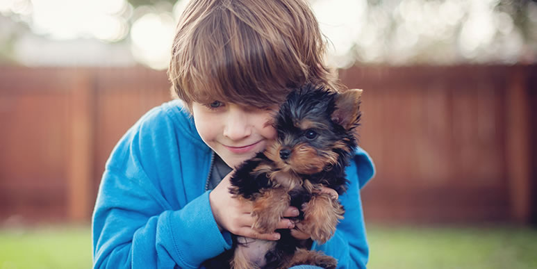 Как избежать конфликтов между собакой и ребенком?