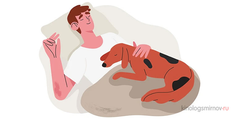 Собакам важно ощущать связь с человеком