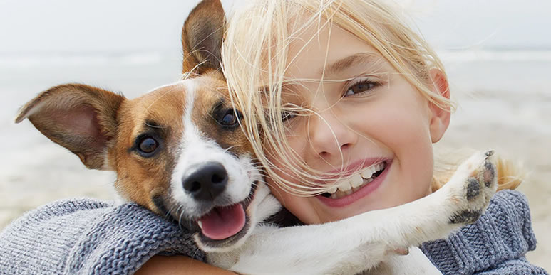 Тайная суперсила: почему именно собаки стали нашими друзьями?